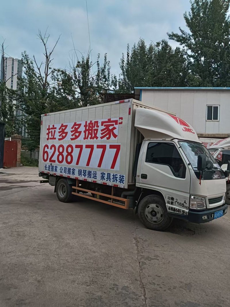 水牛搬家:见证自然力量与智慧交融的力量